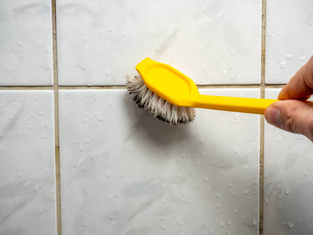 Best Health and Safety Mold Remediation in Hudson Bend, TX